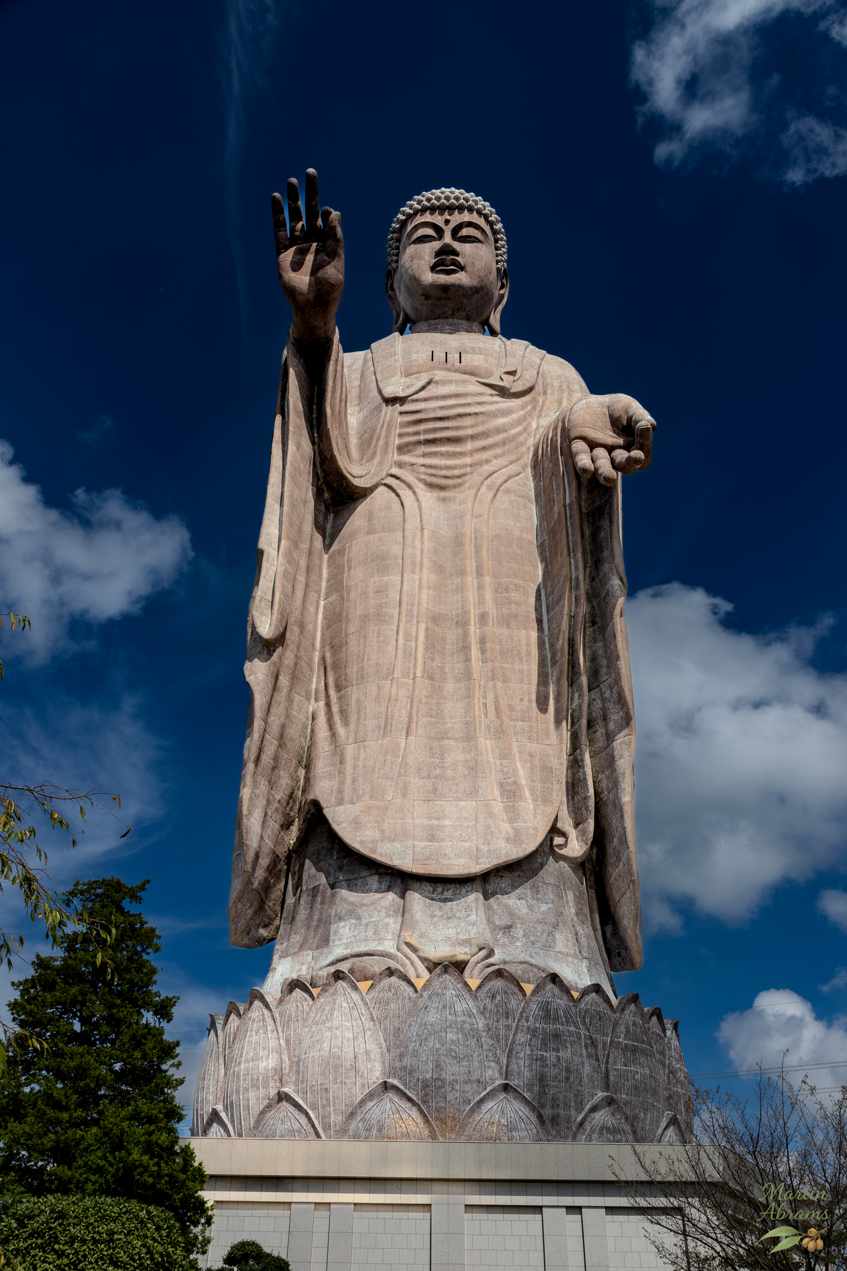 Daibutsu Whole pointing up