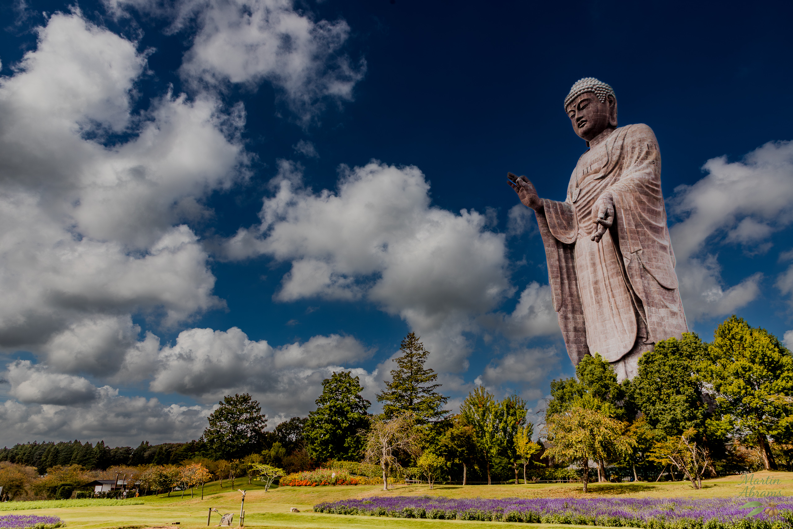 Daibutsu whole 45 degrees and field to the left