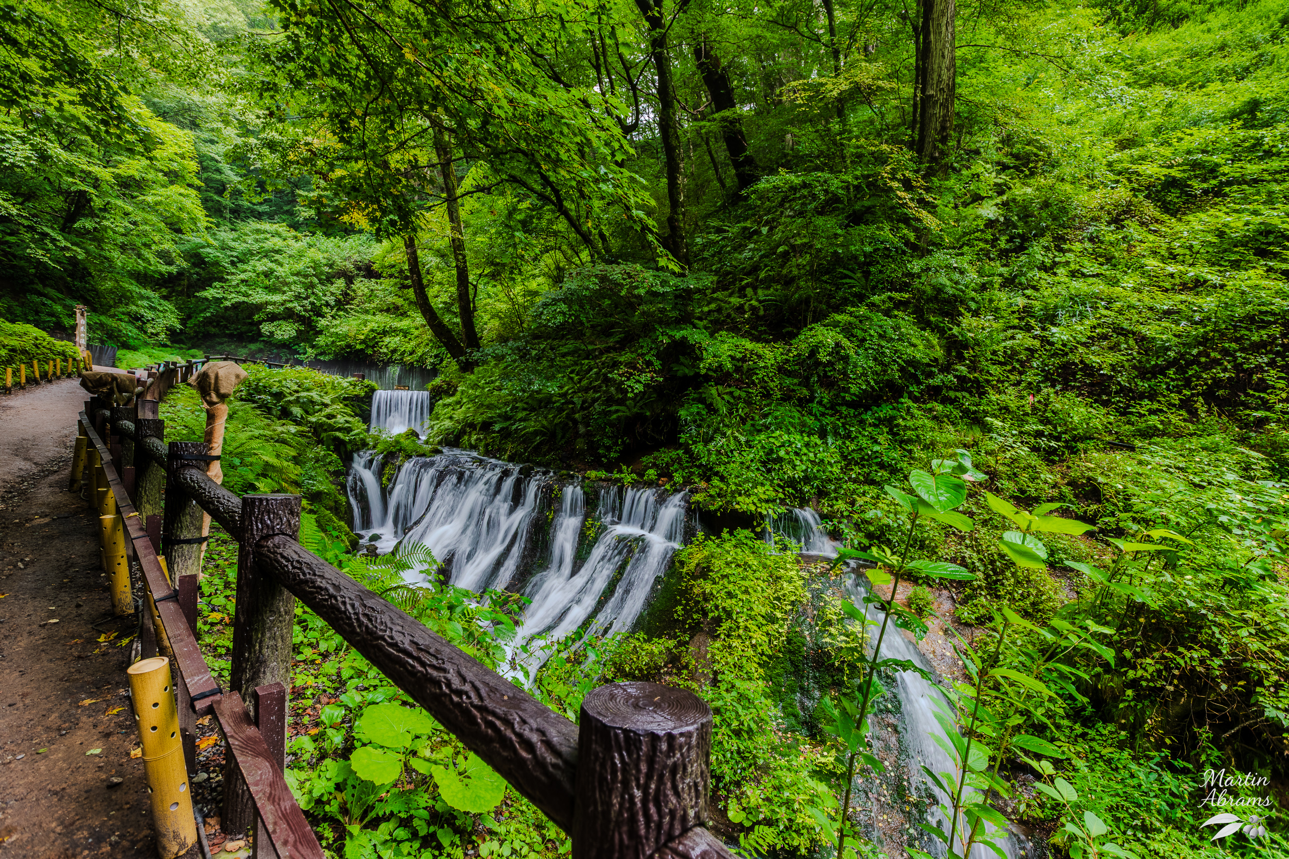 Waterfall - Coming down from the trees